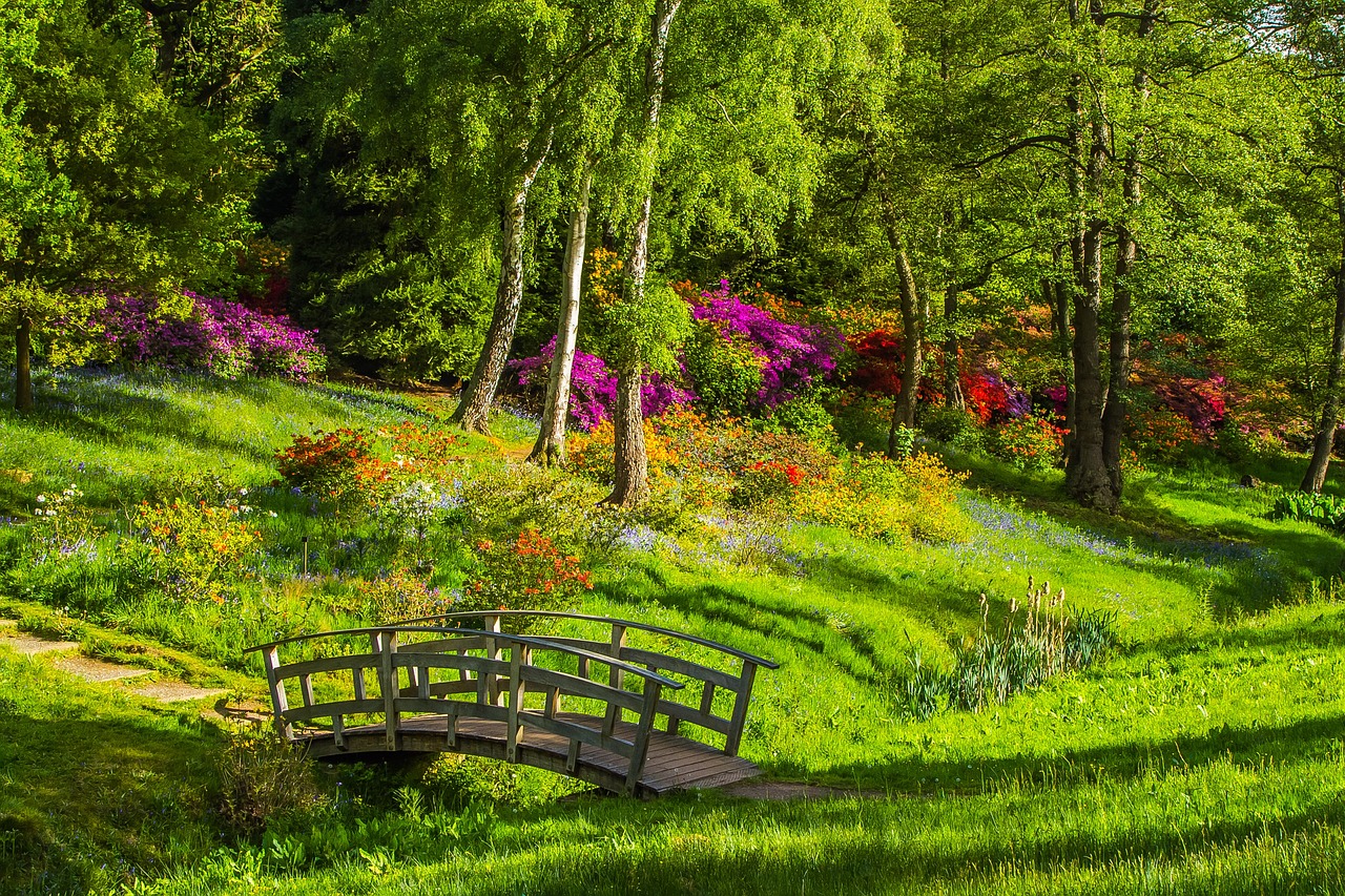 The Hidden Charms of the United States’ Shenandoah National Park